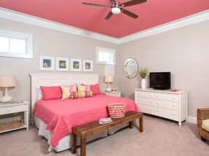Ceiling Color Painting in Waukesha